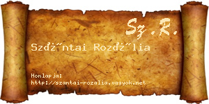 Szántai Rozália névjegykártya
