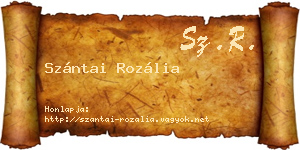 Szántai Rozália névjegykártya